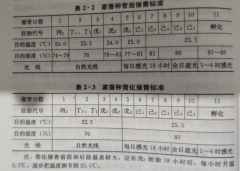 现行蚕种催青技术操作方法（标准）有哪两种？